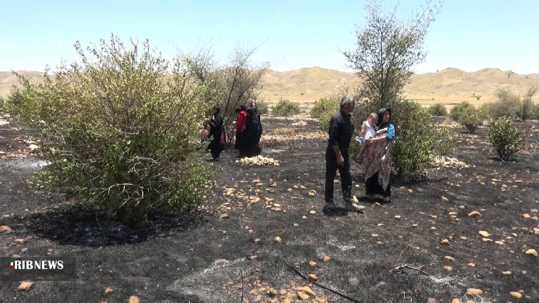لزوم ورود دادستان بهمئی به موضوع آتش سوزی عمدی درختان و بریدن لوله ها در روستای کل جمشید