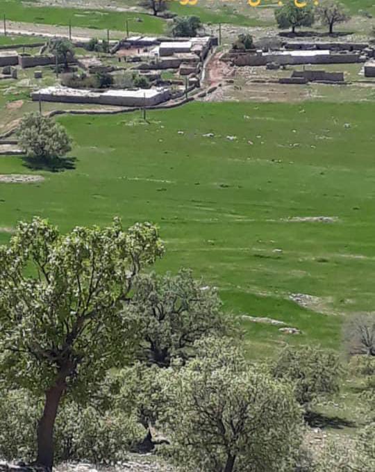گلایه شدید مردم روستای شهید بیوکانی ( پاراه هیرمی) از بی توجهی مسئولین شهرستانی نسبت به گلزار شهید بیوکانی و نبود جاده مناسب و آب کافی و گاز + جزئیات و عکس 
