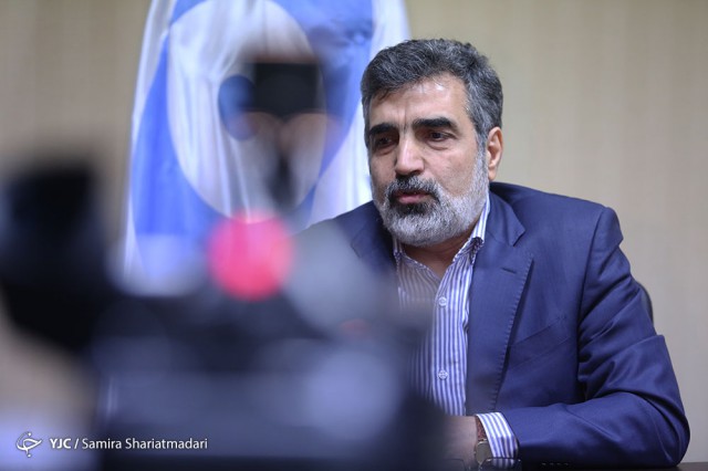 سخنگوی سازمان انرژی اتمی ایران دچارحادثه شد