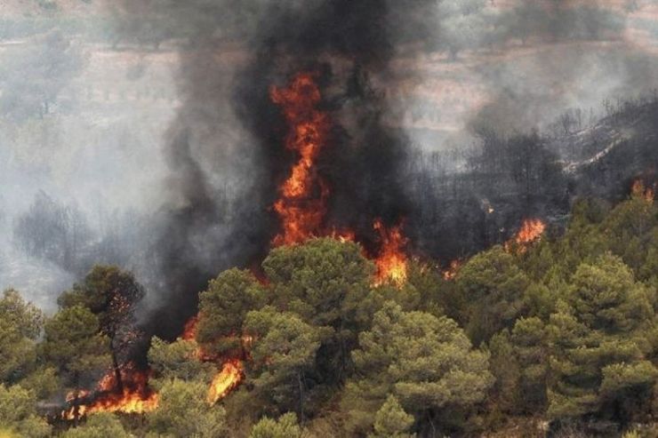 آتش سوزی جنگل های  منطقه گناوه لری گچساران مهارشد